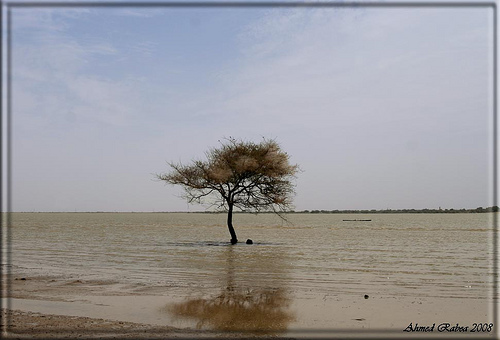 من داخل قلب السودان .... احلي الصور 0912111750378