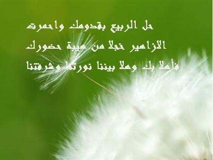 هدية متواضعة 09122614243217