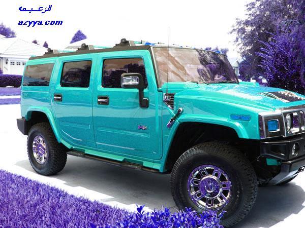 BLUE HUMMER 10010701262276