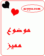 نظارات ديور 2010-2011 10040615072889