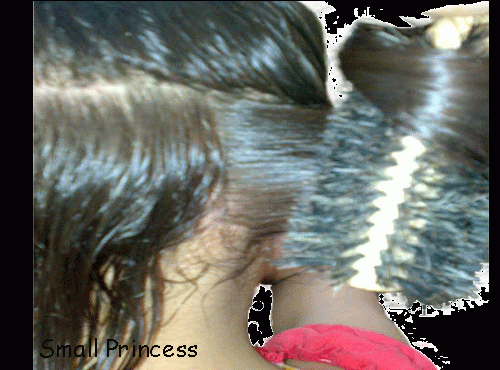 طريقة استشوار الشعر بالصور 11082803135716