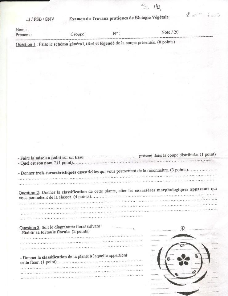 [ biologie végétale ] 2008/2009 USTHB examen de TP  ( 1ere année ) Snv-1an-examtp-bioveg3