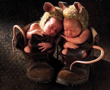 Anne Geddes - Page 10 Zwvynss4