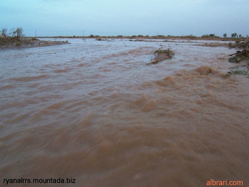 أمطار يوم الخميس:22/5/1431ه على الدحله 12733036212