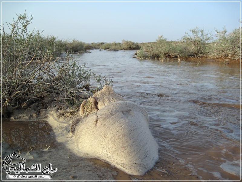 صورر رائعة لمحبين طلعات البر والرحلات  13212149756