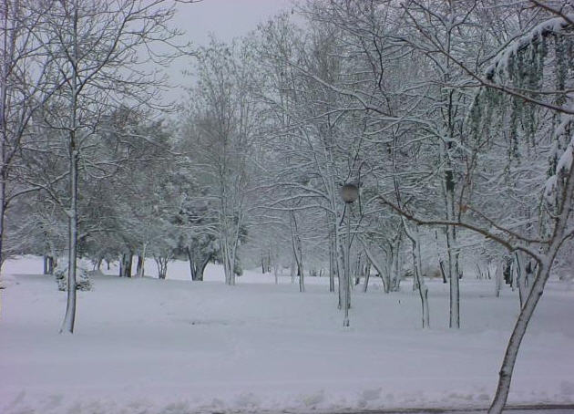 مدينة افران المغربية 32604