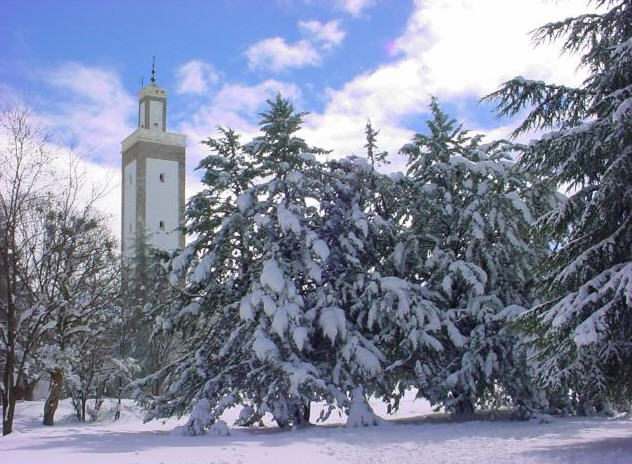 مدينة افران المغربية 32609