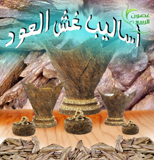 أساليب غش العود 64154