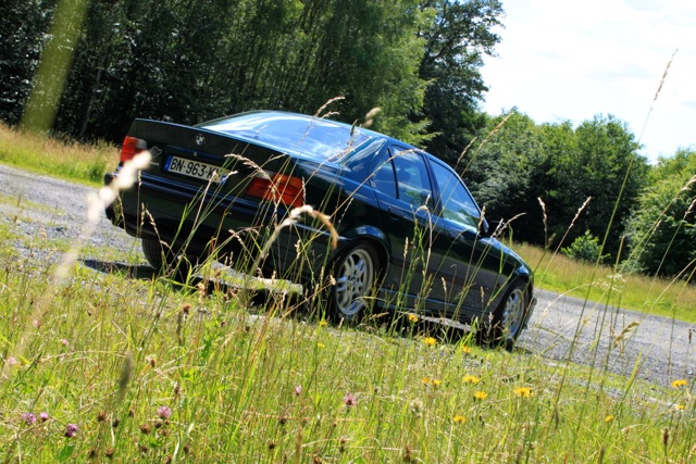 Quick detailing BMW 328i C9c88005f2