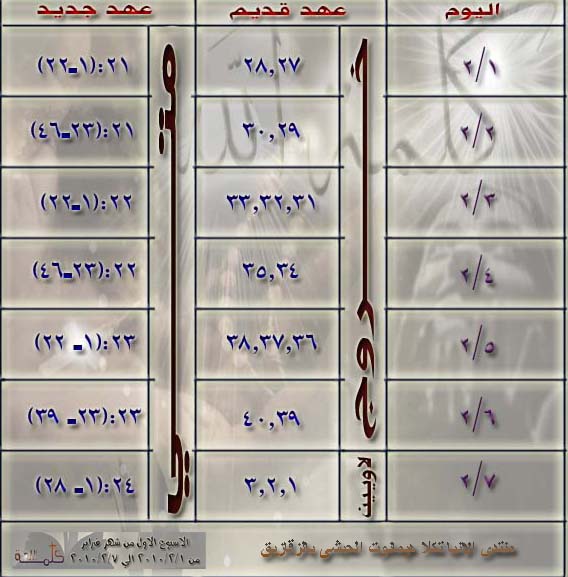 الاسبوع الاول من فبراير (((1))) Ava-takla-8c0f26f4b0