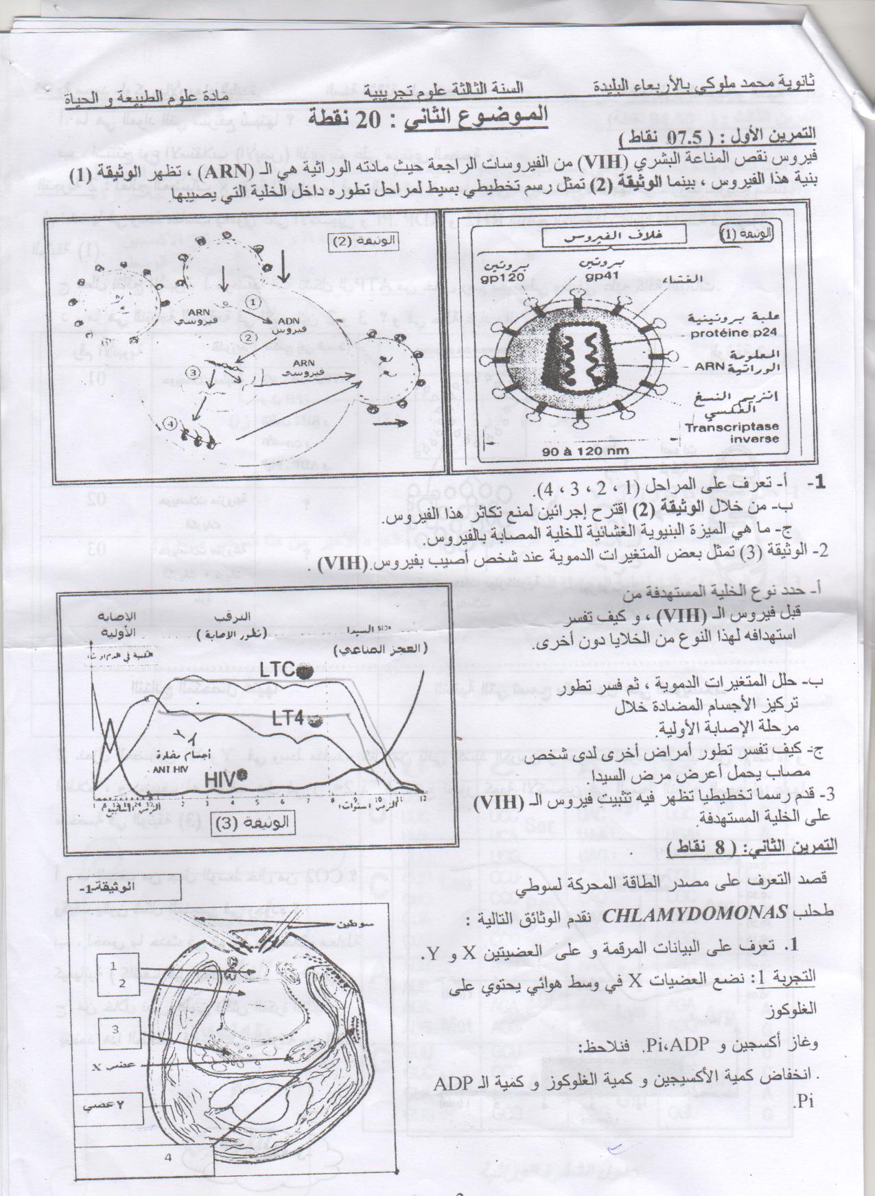 حصريا على منتديات سراج الأقصى الأنيس البكالوريا التجريبي في جميع المواد لثانوية محمد ملوكي بالبليدة 13069388091