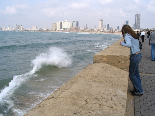 رحلة الى تل الربيع المدينة الفلسطينية المحتلة 1743812