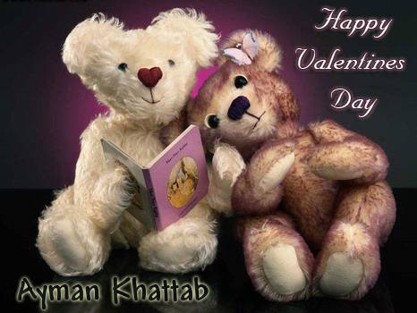 ضميــــــــــــــــني Happy%20Valentines%20Day%202008