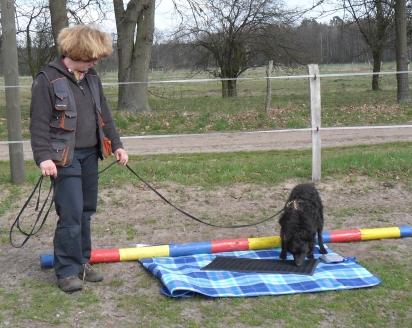 Nasenkurs am 15. April- Platz frei geworden! 10388164bu