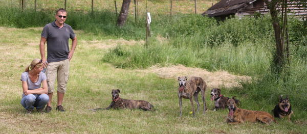 Galga Rita (jetzt MILLA) aus Alicante sucht ... - Seite 4 10703572mc