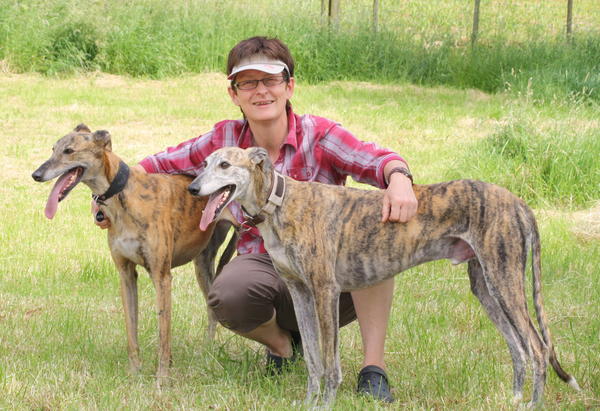 Galga Rita (jetzt MILLA) aus Alicante sucht ... - Seite 4 10703573am