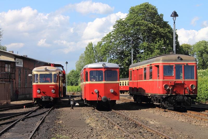 Die Größte unter den Kleinen 10825706eb