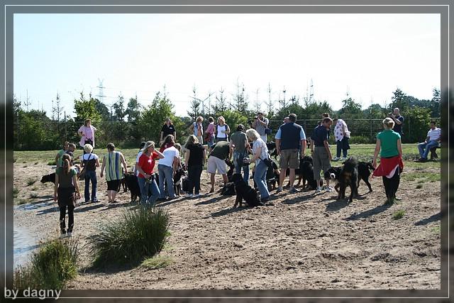 2tes berner sennenhund treffen 1260886