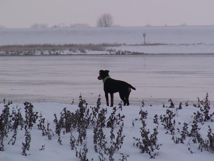 Bilder der Elbe 12785898kf