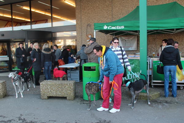 Grill- & Infostand in Kayl (L) am 1. & 2. März 2013 13637012gn