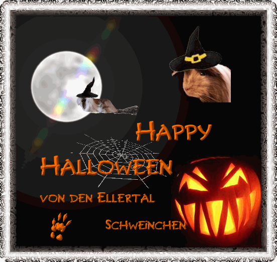 Stichwahl Halloweenbild 1459275