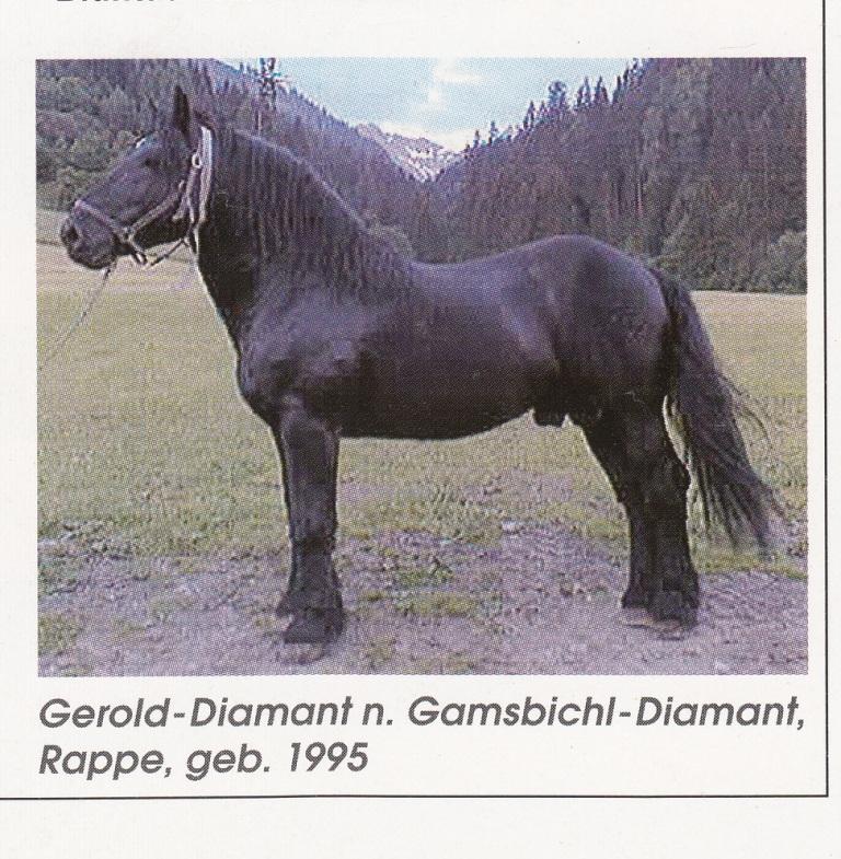 Suche Bilder von Gerold Diamant XIV 16526499se