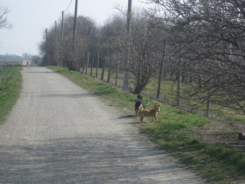 Spaziergang: Forummitglieder+Wauzis - Seite 31 17599331rr