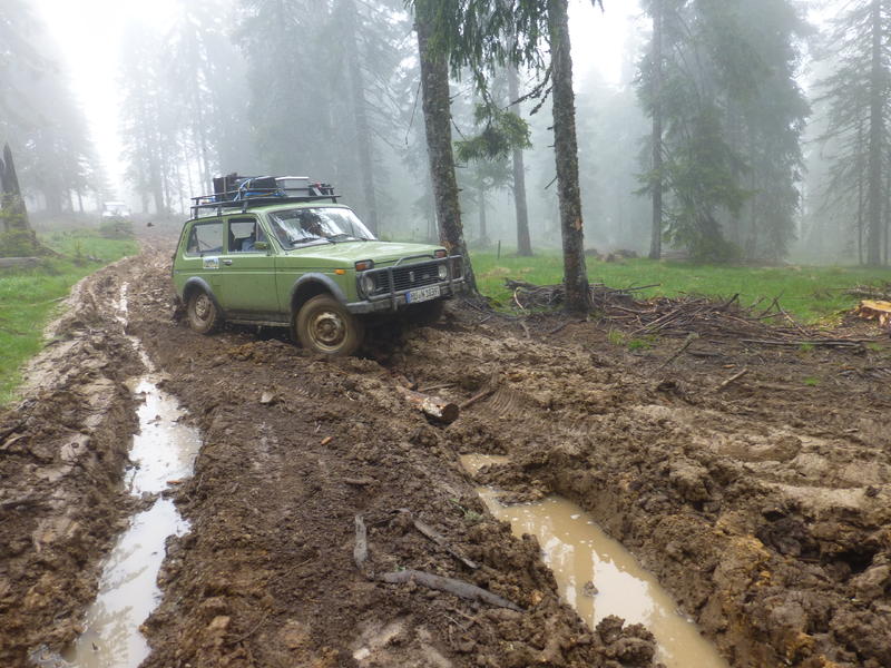 Karpat niva tour '14. Rumania 18322025ul