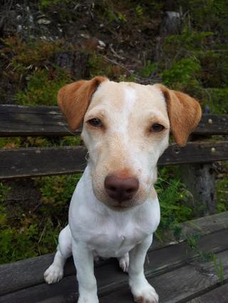 Daisy hat ein neues Zuhause gefunden 19591967fl