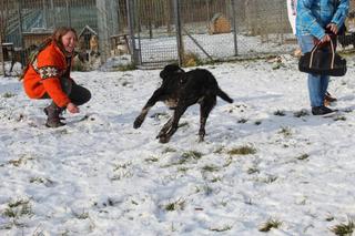 Aliz Karmacs lebt jetzt glücklich in Österreich 20967218sa