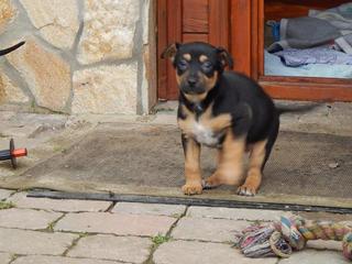 Kiwi hat ein neues Zuhause gefunden 21104835rd