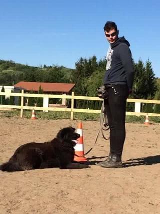 Blacky, Kaukasen-Schäferhund-Mischlingsrüde, geb. ca. Februar 2014 22944855mb