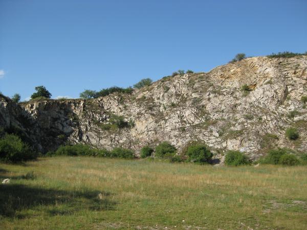 Crawlen in Wöllstein Kreis Alzey Worms 2578746