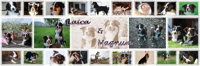 Magnum und Laica 2582359