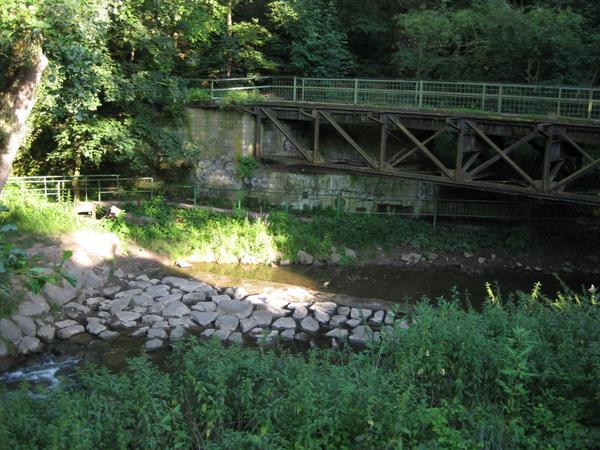 Crawlen in Wöllstein Kreis Alzey Worms 2584281