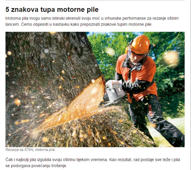 Oštrenje lanaca motornih pila - Page 2 25857353hz