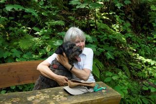 Bundi, Schnauzermischlingsrüde, ca. 1 Jahr 26092262wh