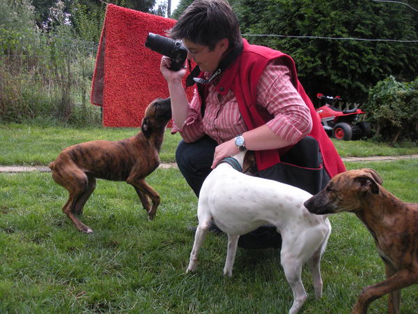 Alice & Laura aus der Perrera Jerez - www.neuburger-tierhilfe.de 2630448