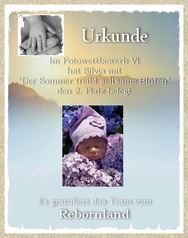 Fotowettbewerb VI 26385474fa