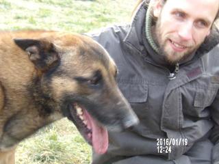 NOTFALL - B.Tomi, Schäferhundmischlingsrüde, geb. ca. Februar 2011 26682361iz