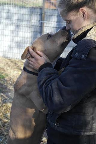 Bosco und Cara haben ein neues Zuhause gefunden 27705771ea