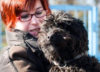 Raszta, Puli-Pumi-Mischlingsrüde, geb. ca. Januar 2013 31398068bv