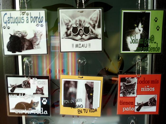 carteles para el coche y cuadernos de Esperanza Felina 4617658