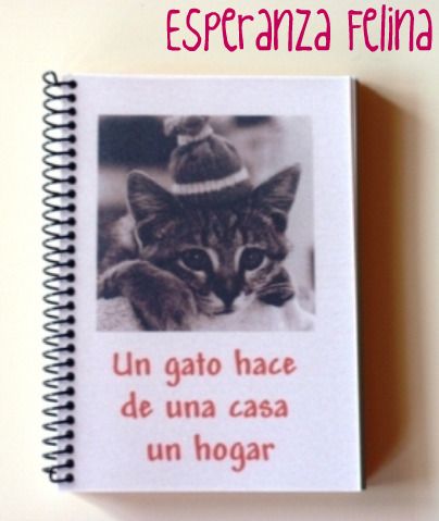 carteles para el coche y cuadernos de Esperanza Felina 4617690