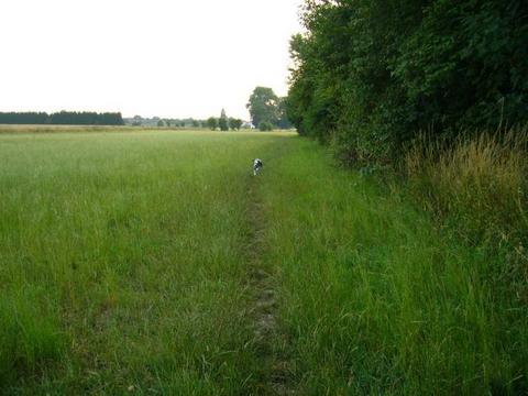 Post von * Dalmata, jetzt Jule * 5451103