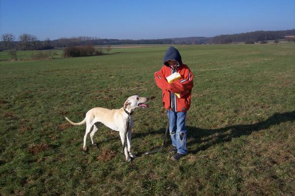 Galga LUNI aus Murcia sucht ... - Seite 2 6216516arn