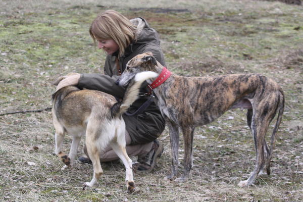 Mischling BOWIE aus Ramonete sucht ...  - Seite 2 6473484fif