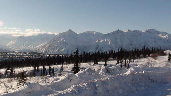 Yukon Quest 2011 6596671fzx