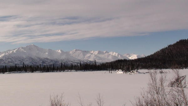 Yukon Quest 2011 6596675jfl