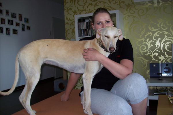 Galga LUNI aus Murcia sucht ... - Seite 4 6817648dea